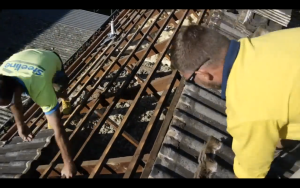 Colorbond re-roofing - Removing tiles
